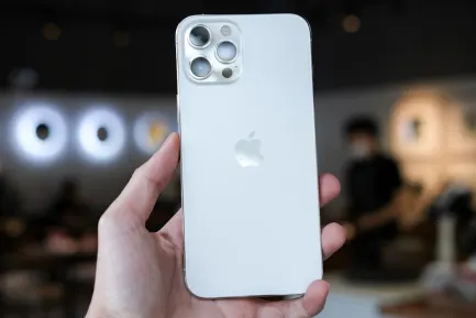 BlueFox Casino Application mobile